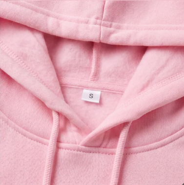 Eternal Sunshine 2026 Hoodie